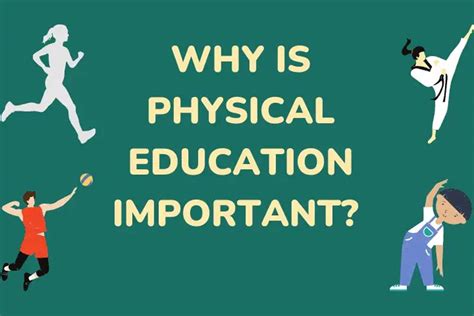 What Does Physical Education Mean to Your Brainly Development?